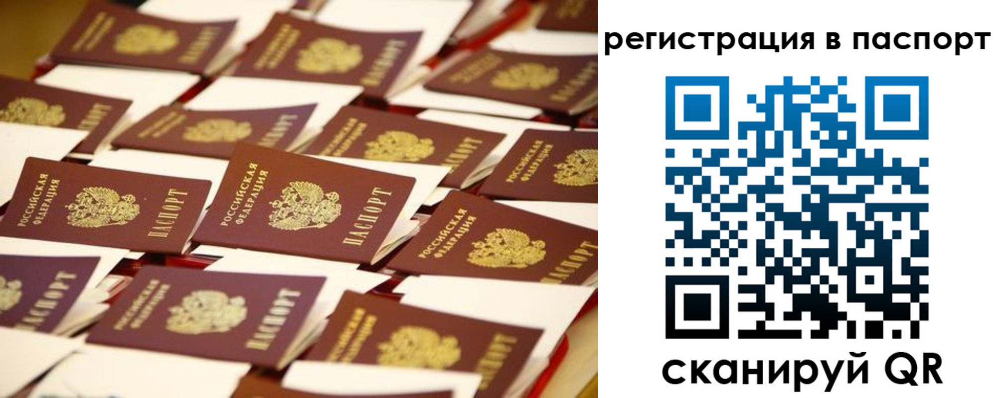 прописка гарантия в Кизляре